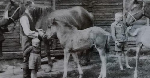 KLIKKAA TÄSTÄ ! KLIKKAA TÄSTÄ !