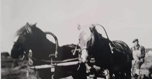 KLIKKAA TÄSTÄ ! KLIKKAA TÄSTÄ !